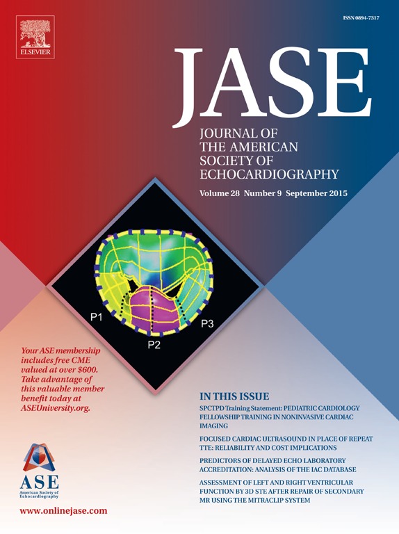 JASE15_Cover